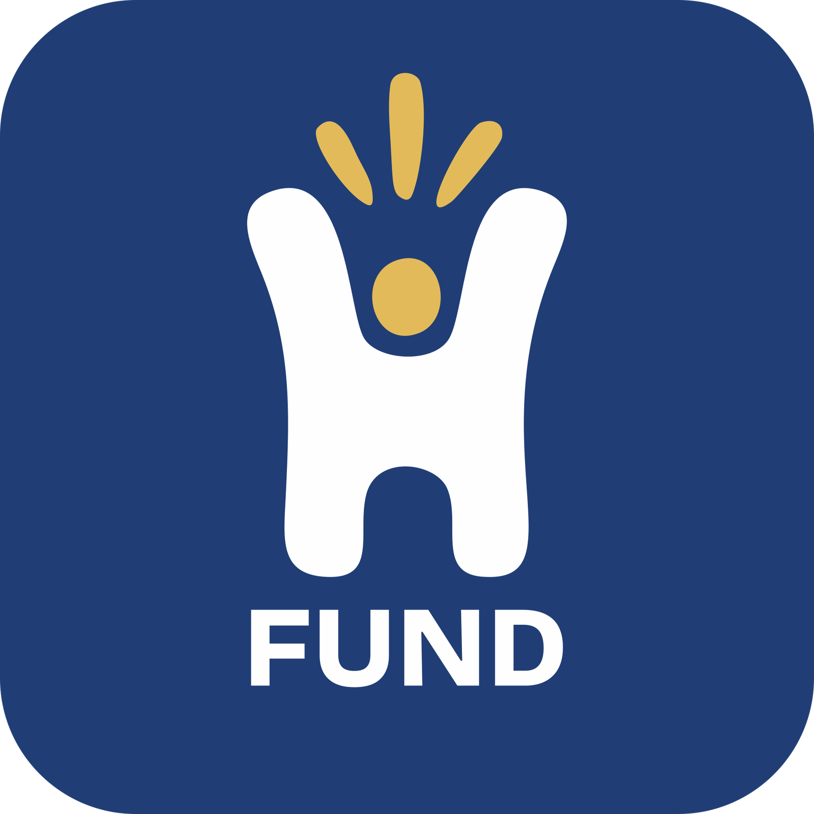 HS Fund